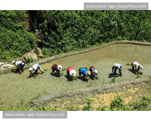 开云体育淘汰赛形势解读与行动指南